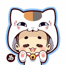探秘卡通猫情侣头像的DIY制作指南